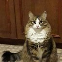 ���� �������, �����������, 53 ���� - ��������� 14 ������ 2025 � ������ ������ ��������