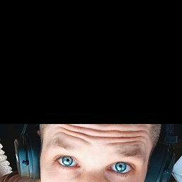 , 29, 