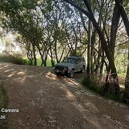 Tavalo, ������������, 45 ���