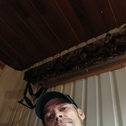 , 42, 