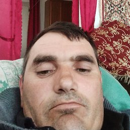 ���������, ���������, 46 ���