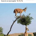 ���� �����, ������ - ��������� 14 ������ 2024 � ������ ���� ����������