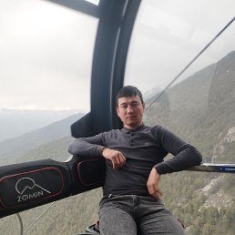 , 29, 