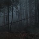 ���� ������, �����, 22 ���� - ��������� 11 ������ 2025 � ������ ���� ����������
