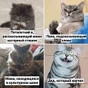 ���� ����, ��������� - ��������� 9 ���� 2026 � ������ ������ ��������