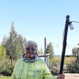 ���� ���������, ������, 86 ��� - ��������� 7 ��� 2024