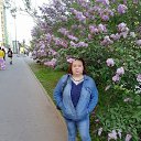 ���� ����, �������� - ��������� 11 ������ 2026 � ������ ���� ����������