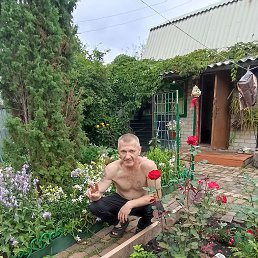 , 45 , 