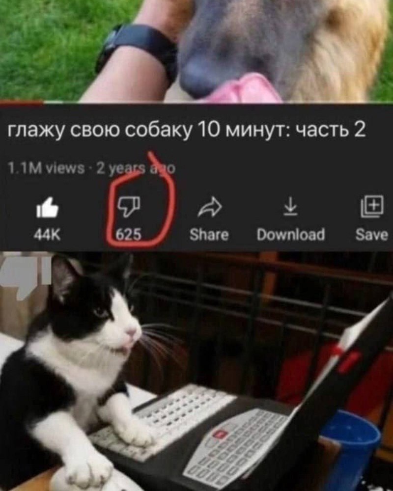  - 12  2025  17:29