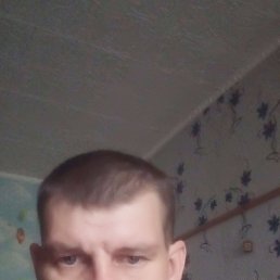 , 41, 
