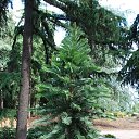 ���� �������, ������, 60 ��� - ��������� 19 ������� 2025 � ������ ����� ������������, ��������