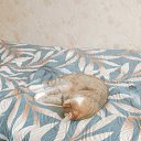 ���� �������, ������, 46 ��� - ��������� 13 ������ 2025 � ������ ������ ��������