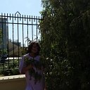���� ����, �����������, 55 ��� - ��������� 5 ������� 2026 � ������ ���� ����������