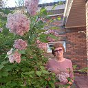 ���� ���������, ����-���, 69 ��� - ��������� 17 ���� 2024