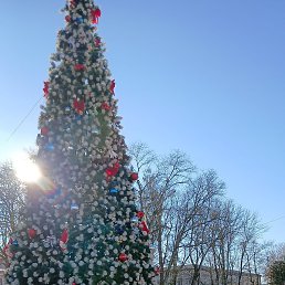 �����, ������, 42 ����