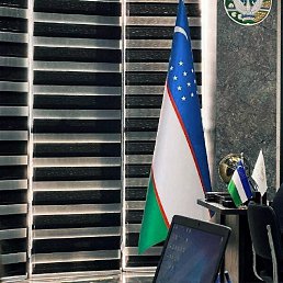 ���� Knyaz, �������, 34 ���� - ��������� 10 ������� 2024