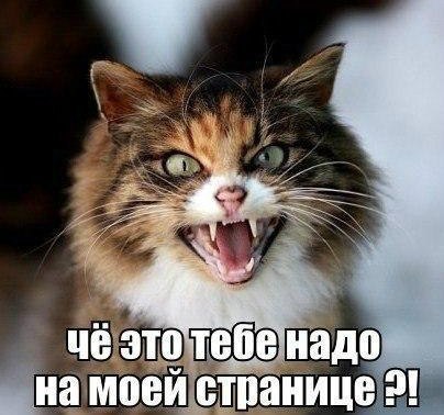    ...  Ѩ     ۨ ۨ ...     ...