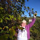 ���� �����, ����������, 62 ���� - ��������� 17 ������ 2025 � ������ ���� ����������