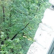Nora, 53 года, Москва Nora, 53 года, Москва