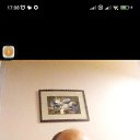 ���� ����, ������, 51 ��� - ��������� 13 �������� 2024