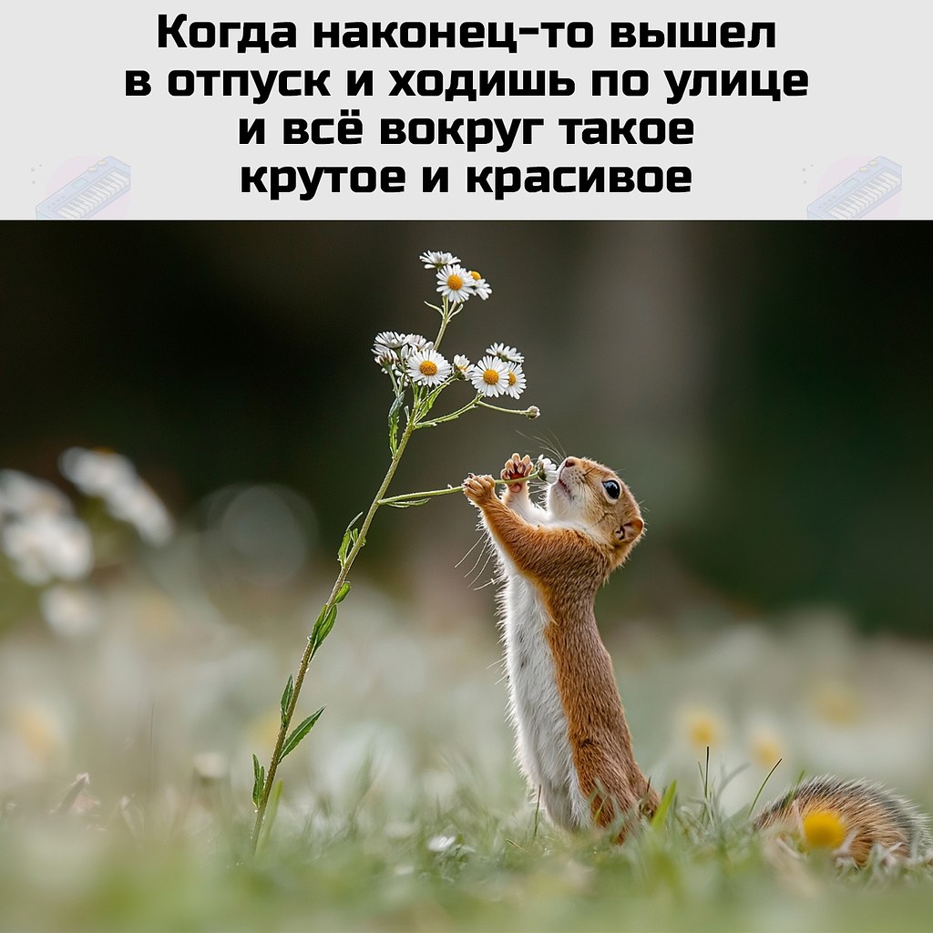   - 6  2025  14:34