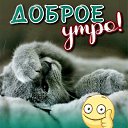���� �������, ��������, 69 ��� - ��������� 10 ������ 2024 � ������ ������ ��������