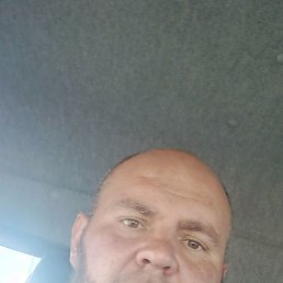 ������, ���������, 36 ���