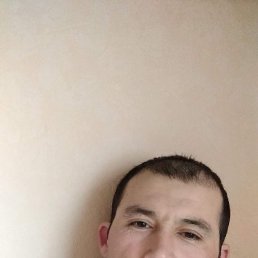 , 40, 
