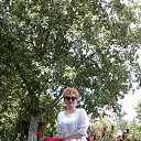 ���� ������, ������, 105 ��� - ��������� 4 ������� 2024 � ������ ���� ����������