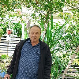 �����, 61 ���, ���������