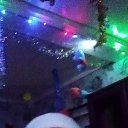 ���� ����, �����������, 40 ��� - ��������� 5 ������ 2024 � ������ ���� ����������