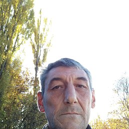 , 52, 