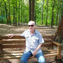 ���� �����, ���������, 55 ��� - ��������� 21 ������ 2024