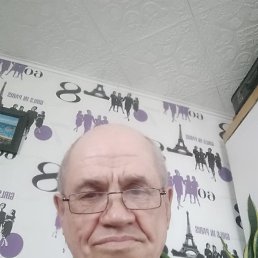 , 61, 