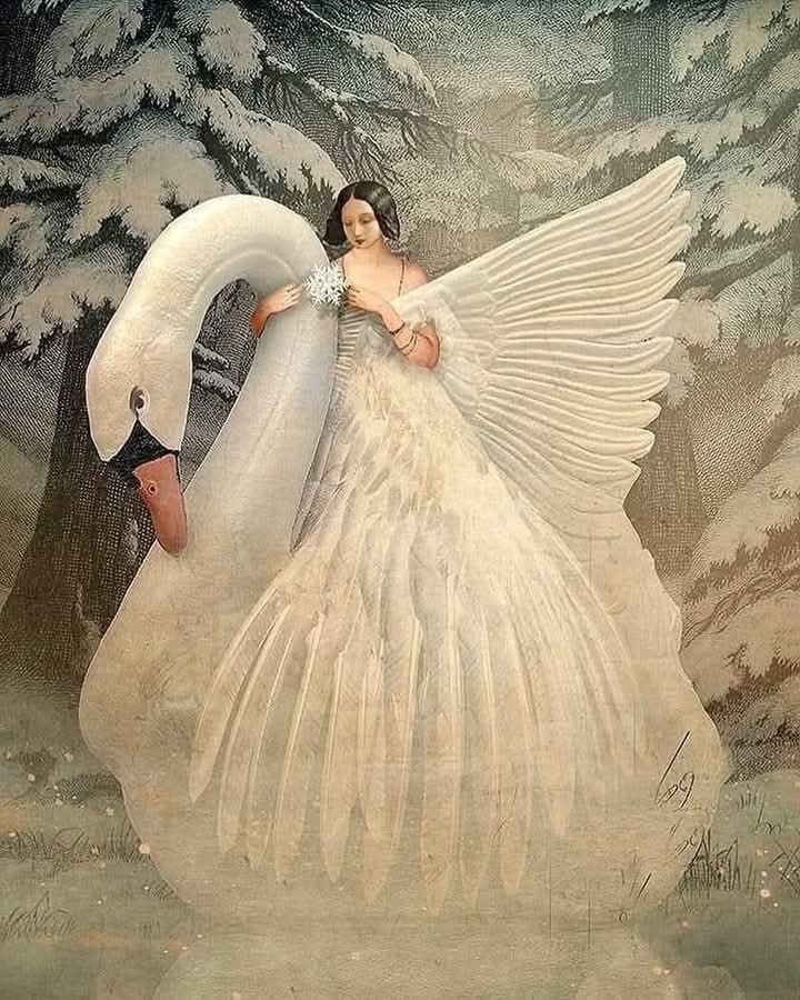 "    ,      - . ,   ...