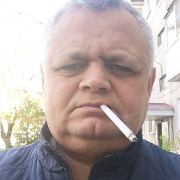 ���� ���������, �����, 53 ���� - ��������� 29 ������ 2026