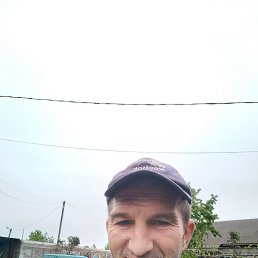  , 41, 
