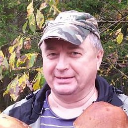 ����, ������, 62 ����