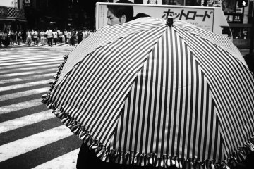 ������ �����. ����� ZTC (Zebra the City, ����� �����).Tadashi Onishi � �������� ��������, ������� � ... - 2