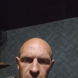 , 37, 