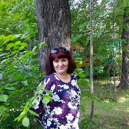 ���� ����, ����������� - ��������� 14 ������ 2025