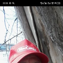 , 46, 