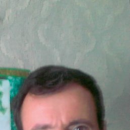 , 55 , 