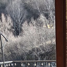 �������, ���������, 39 ���