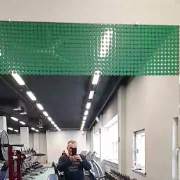 ���� �������, �������, 48 ��� - ��������� 11 �������� 2026