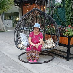 , 61, 
