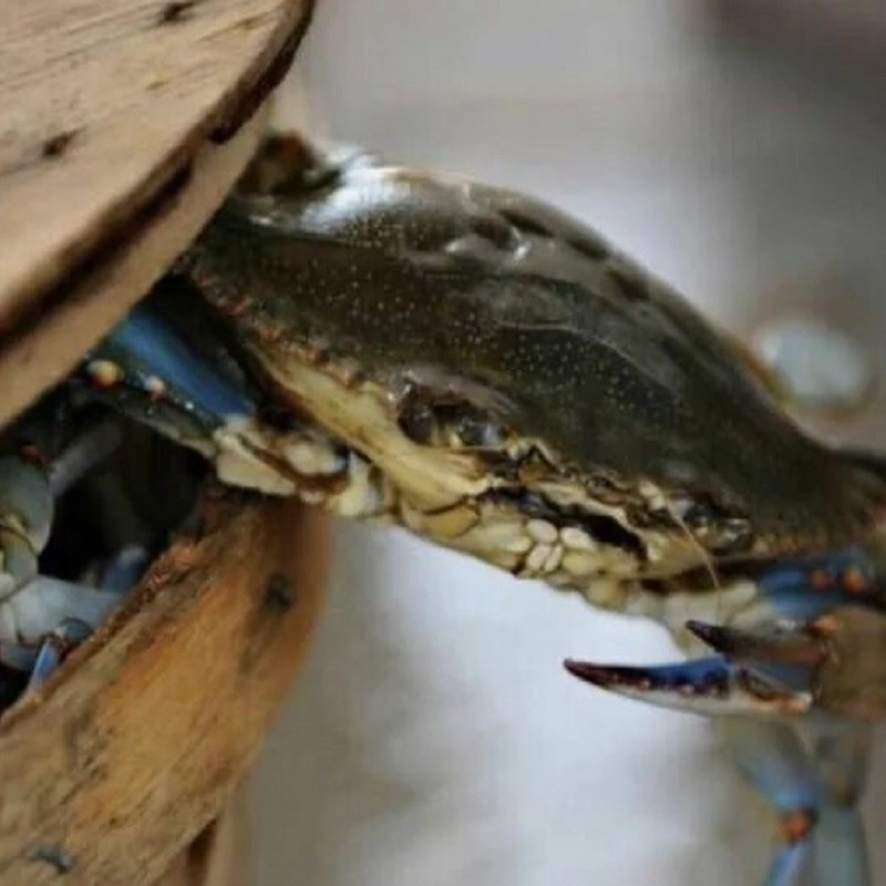 ���� ����� �������� �����, ���������� crab bucket theory � ������� ����� � ������Ȼ. ���� �������, ... - 2