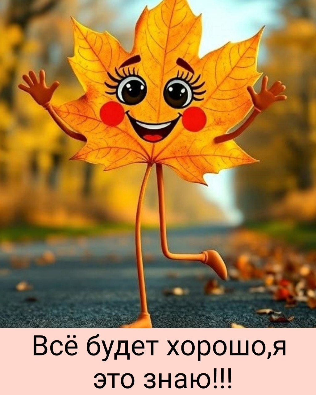  - 3  2025  11:17