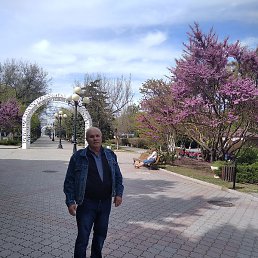 ��������, �����������, 65 ���