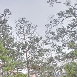 ������, �������, 51 ���